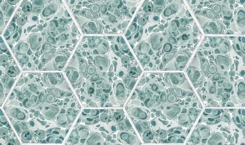 Tapeta heksagony marmur Rebel Walls R18559 Marbled Hexagon Tiles Green Pops