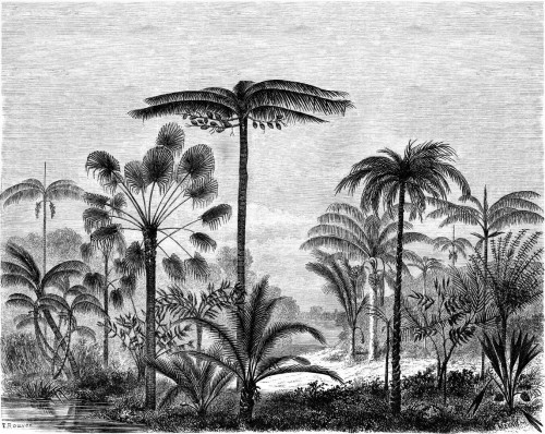 Mural tropikalny krajobraz z palmami Esta 158952 Paradise
