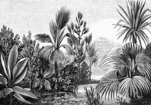 Mural tropikalny krajobraz Esta 158953 Paradise