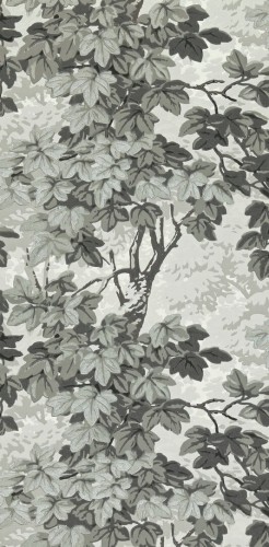 Tapeta drzewa Zoffany 310059 Richmond Park Kensington Walk Wallcoverings