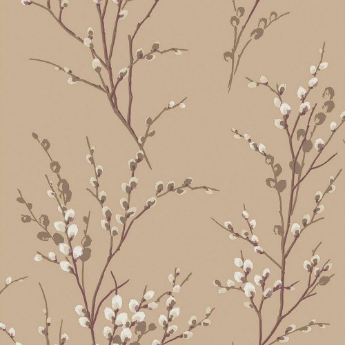 Tapeta bazie wierzbowe Laura Ashley 113358 Pussy Willow Volume I