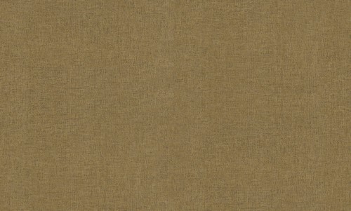 Tapeta płótno Decori & Decori 72917 Zen - 106cm szer.