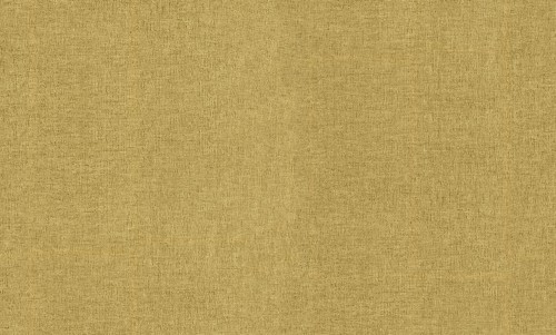Tapeta płótno Decori & Decori 72920 Zen - 106cm szer.