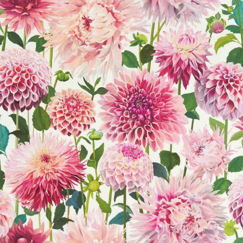 Tapeta kwiaty dalii Harlequin 112843 Dahlia Colour II