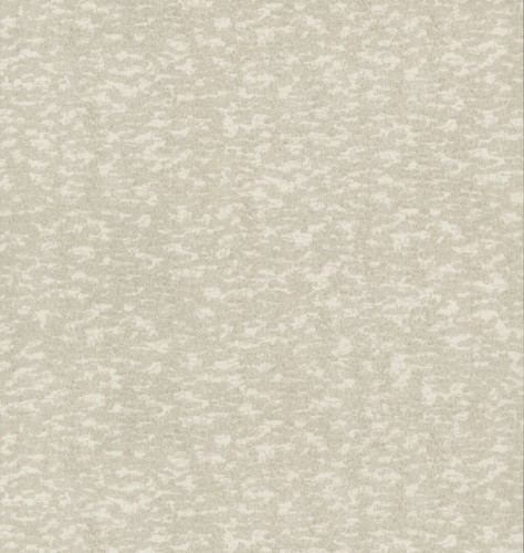 Tapeta imitująca korę York Antonina Vella DD3754 Weathered Cypress Dazzling Dimensions II