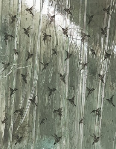 Mural ptaki plisowany folia Marburg 63463 Crush Motion