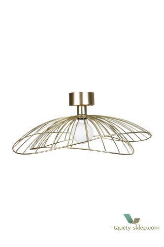 ! OKAZAJA ! Lampa sufitowa/Kinkiet  Ray Brushed Brass 268065 Globen (1)