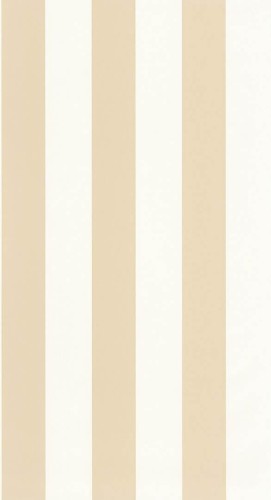Tapeta pasy winylowa Caselio BAI 104021050 Wide Lines Basics