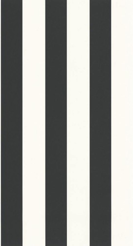 Tapeta pasy winylowa Caselio BAI 104029290 Wide Lines Basics