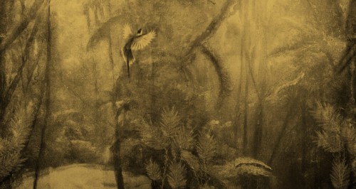 Fototapeta botaniczna Wall&Deco WDVI2302 Visioni Contemporary 2023