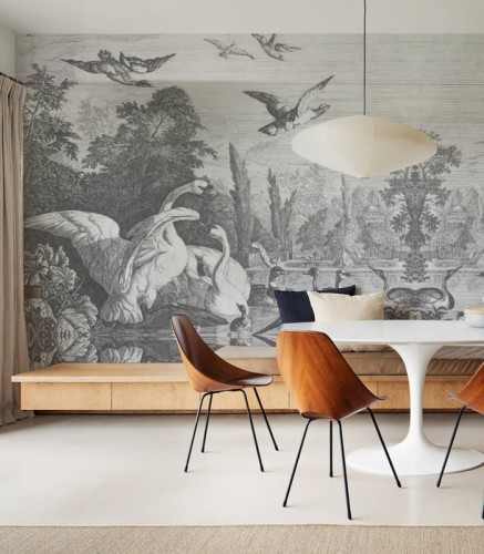 Mural krajobraz fauny i flory Black swans 8709 Wallcolors