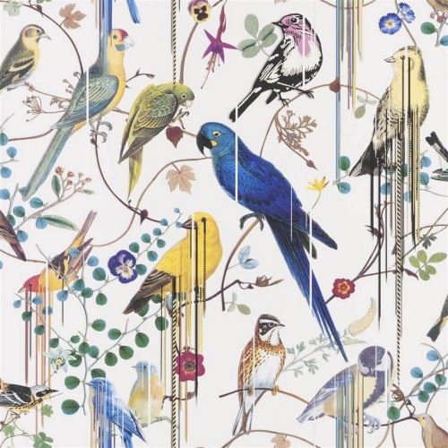 Tapeta ptaki Christian Lacroix PCL7017/02 Birds Sinfonia Lacroix Stravaganza