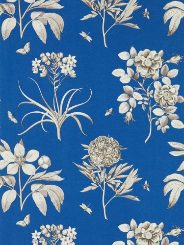 Tapeta kwiaty Sanderson 217053 Etchings & Roses One Sixty