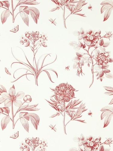 Tapeta kwiaty Sanderson 217054 Etchings & Roses One Sixty