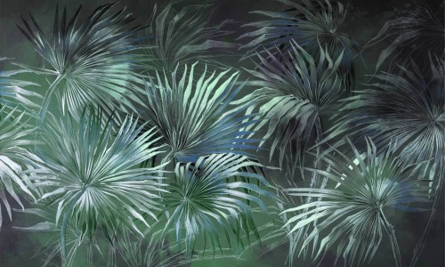 Fototapeta palmowe liście Wonderwall Oasis 35061808