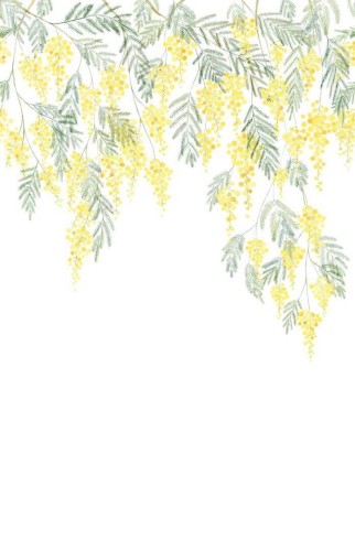 Mural tropikalna roślina Casadeco WDWS 89172204 L Mimosa WonderWalls