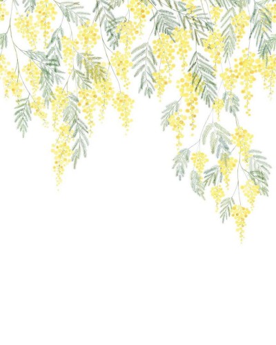Mural tropikalna roślina Casadeco WDWS 89172205 S Mimosa WonderWalls