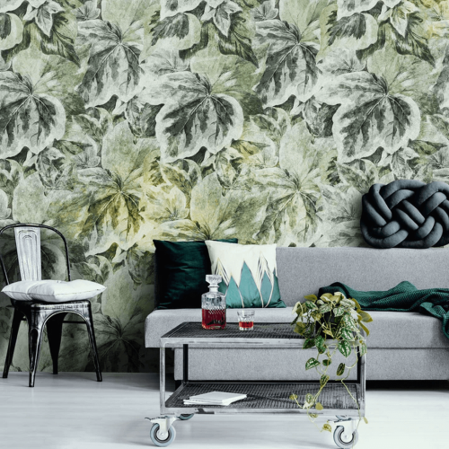 Fototapeta liście bluszczu WallArt Lierre
