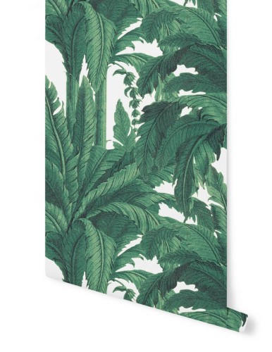 Tapeta tropikalne liście Papermint MUSA Blanc 220 Classics
