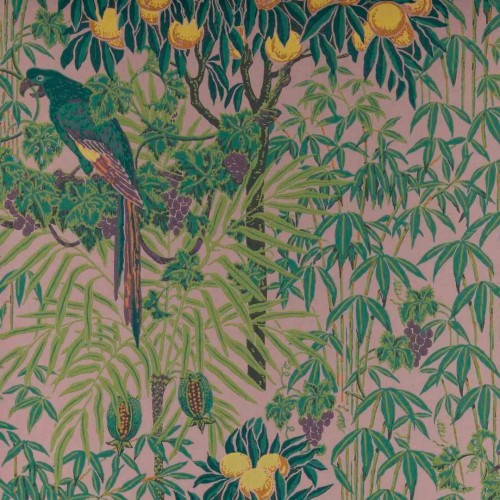 Tapeta egzotyczna z papugami 1838 Wallcoverings 2311-167-02 Macaw Blush V&A Decorative Papers