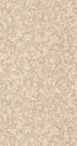 Tapeta imitująca beton Casadeco COLR 88111222 Mur Antique So Color 5