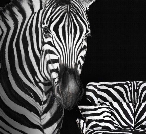 Mural zebra Dolce & Gabbana TCW001 TCAI5 UZ005 N.1