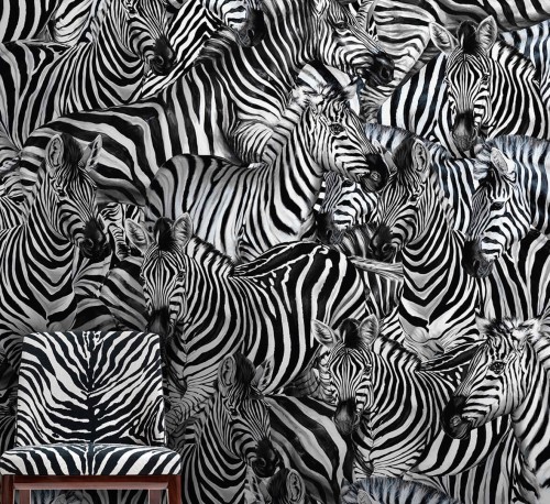 Mural zebry Dolce & Gabbana TCW013 TCAI5 UZ011 N.1