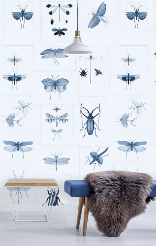 Mural owady Mind the Gap ENTOMOLOGY Blue WP20235 Premium Designer Wallpaper Collection