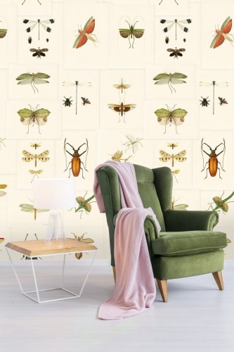 Mural owady Mind the Gap ENTOMOLOGY WP20233 Premium Designer Wallpaper Collection