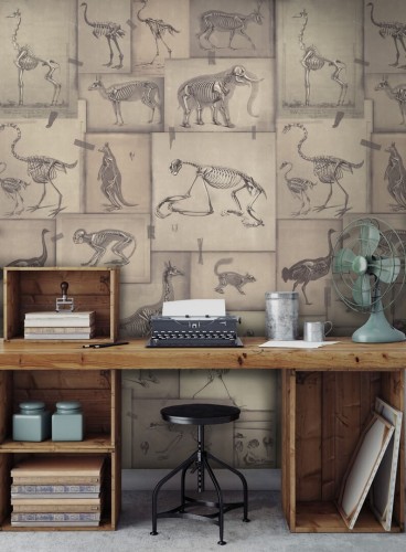Mural szkielety zwierząt Mind the Gap ZOOARCHELOGY WP20236 Premium Designer Wallpaper Collection