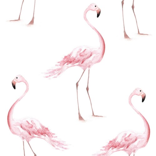 Tapeta Flamingi Dekornik DEKO.TAP.004