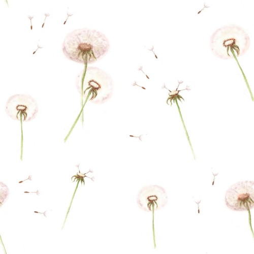 Tapeta dmuchawce  Dandelions Dekornik DEKO.TAP.069