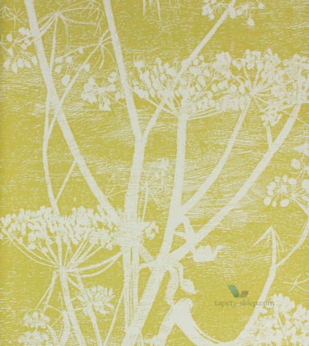 Tapeta Cole & Son 66/7051 Cow Parsley The Contemporary Selection