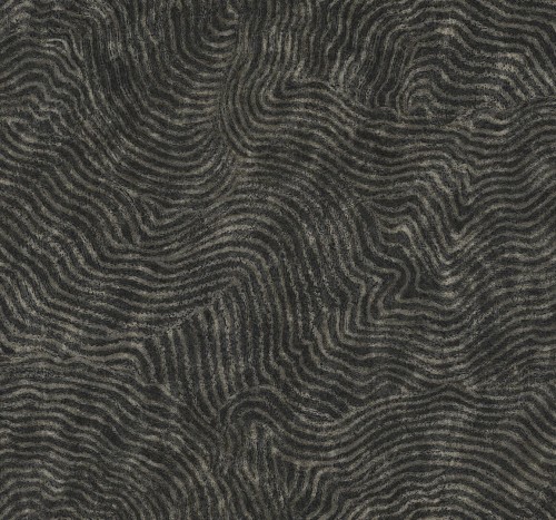 Tapeta imitująca słoje drewna York Wallcoverings OI0716 Modern Wood New Origins