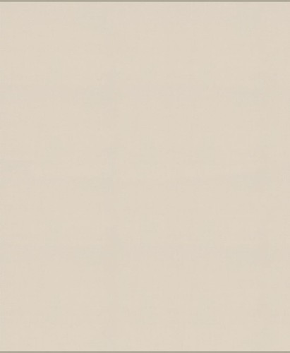 Tkanina jednokolorowa Camengo 39230659 Jive - 296 cm szer.