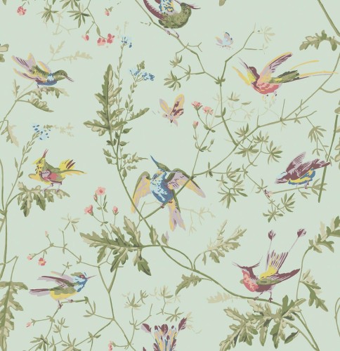 Tapeta ptaki Cole & Son Hummingbirds 100/14069 Selection of Hummingbirds