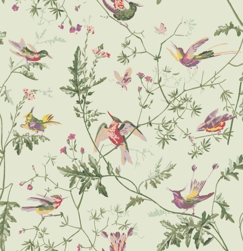 Tapeta ptaki Cole & Son Hummingbirds 100/14070 Selection of Hummingbirds