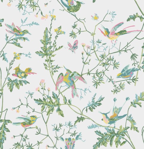 Tapeta ptaki Cole & Son Hummingbirds 112/4015 Selection of Hummingbirds