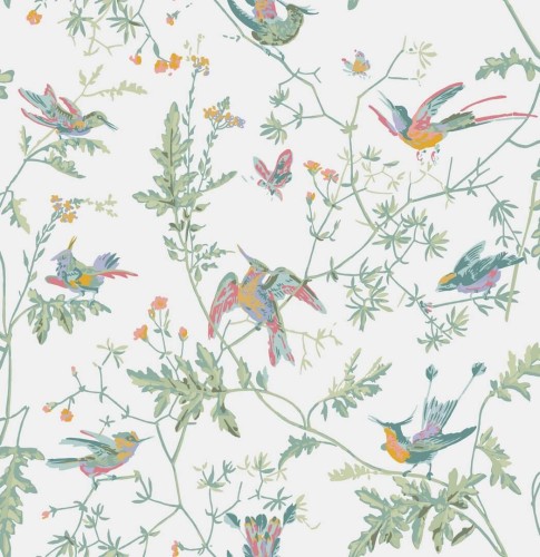 Tapeta ptaki Cole & Son Hummingbirds 112/4016 Selection of Hummingbirds