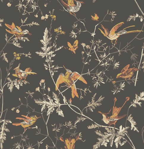 Tapeta ptaki Cole & Son Hummingbirds 112/4017 Selection of Hummingbirds