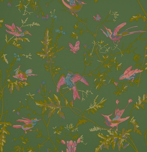 Tapeta ptaki Cole & Son Hummingbirds 124/1005 Selection of Hummingbirds