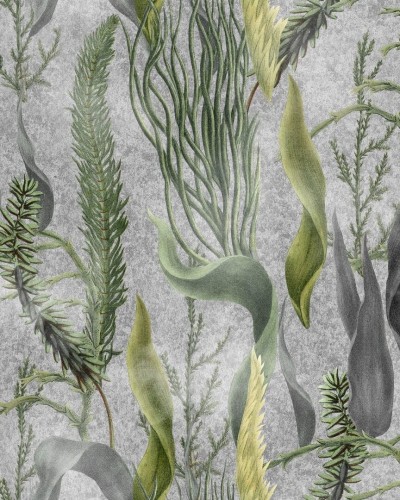 Tapeta wodorosty Mind The Gap WP20718 AQUATIC PLANTS The Wetlands