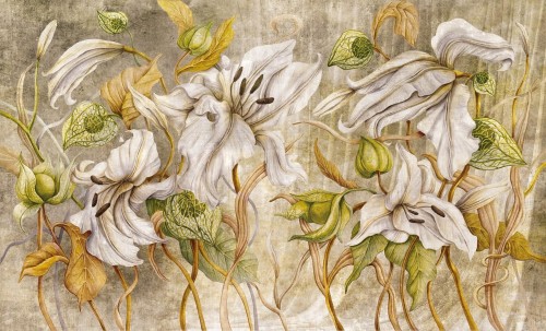 Fototapeta kwiaty Wall & More LILY 2427 26A