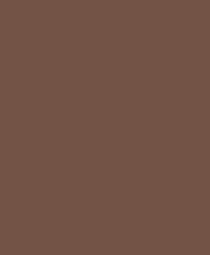 Tapeta jednokolorowa Casadeco ANFO 200332909 Pigments Annees Folles