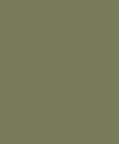 Tapeta jednokolorowa Casadeco ANFO 200337606 Pigments Annees Folles