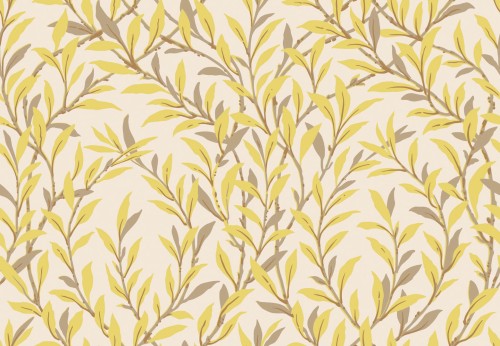 Tapeta liście wierzby Cole & Son 127/7036 Willow Branch Classics Collection Vol.I