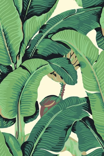 Tapeta liście bananowca J&V 26010 Hinson Palm Scalamandre