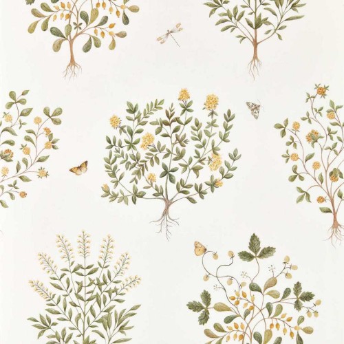 Tapeta roślinna Sanderson 217508 Thyme Walk Highgrove