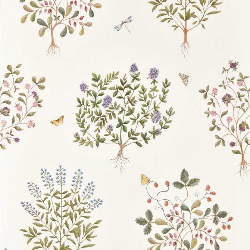 Tapeta roślinna Sanderson 217509 Thyme Walk Highgrove