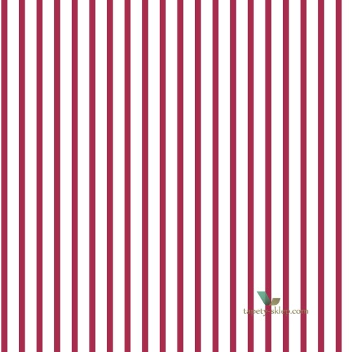 Tapeta Galeria G67536 Smart Stripes 2